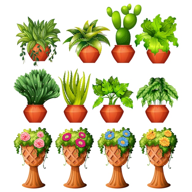 Vector coloured flowerpots collection