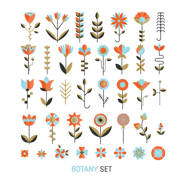 Vector coloured flowers collection