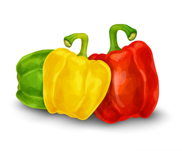 Vector coloured peppers collection