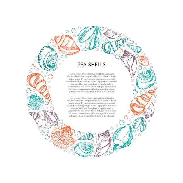 Vector coloured seashells frame