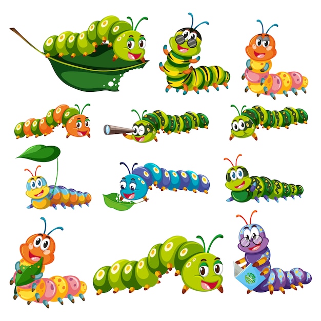 Premium Vector  Coloured worms collection