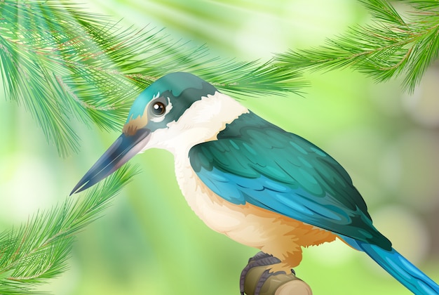 Vector colourful bird in nature background
