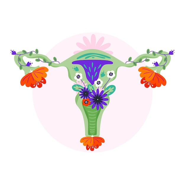 Vector colourful floral female reproductive system