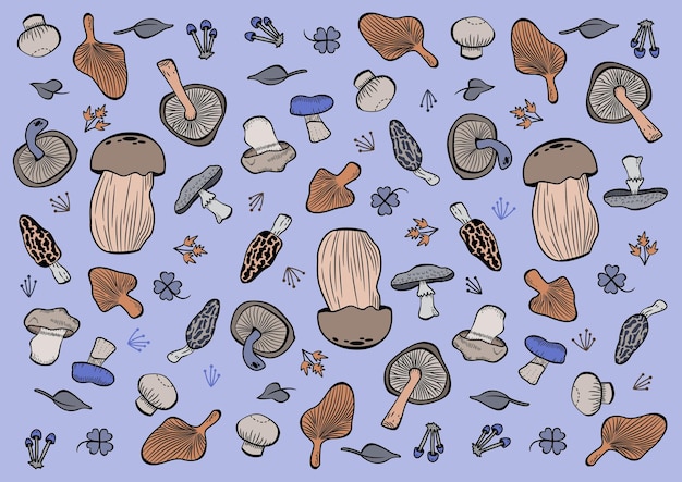 Illustrazione vettoriale del modello di funghi colorati