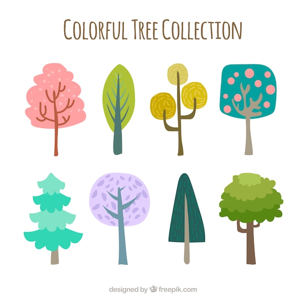 Collezione di alberi colorati