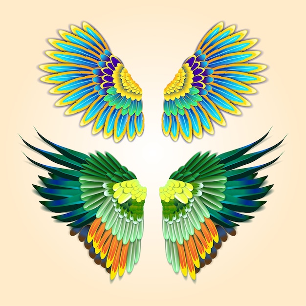 Vector colourful wings