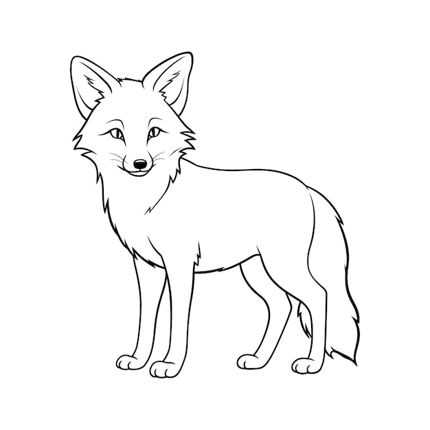 Colouring pages for kids