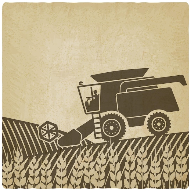 Vector combine harvester in field old background