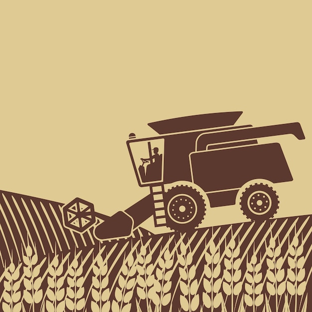 Combine-oogstmachine in het veld