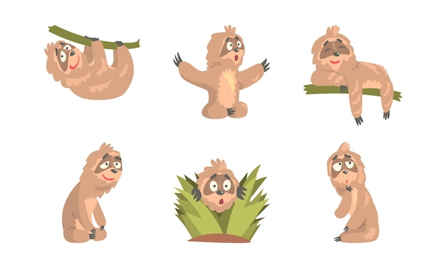 Comic Sloth Hanging in the Tree en Sitting Vector Set