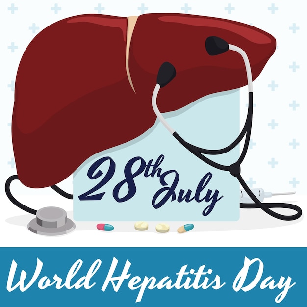 Vector commemorative design for hepatitis day with liver stethoscope and medicines