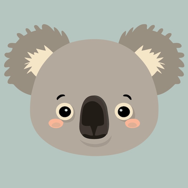 Common koala herbivore mammal animal face