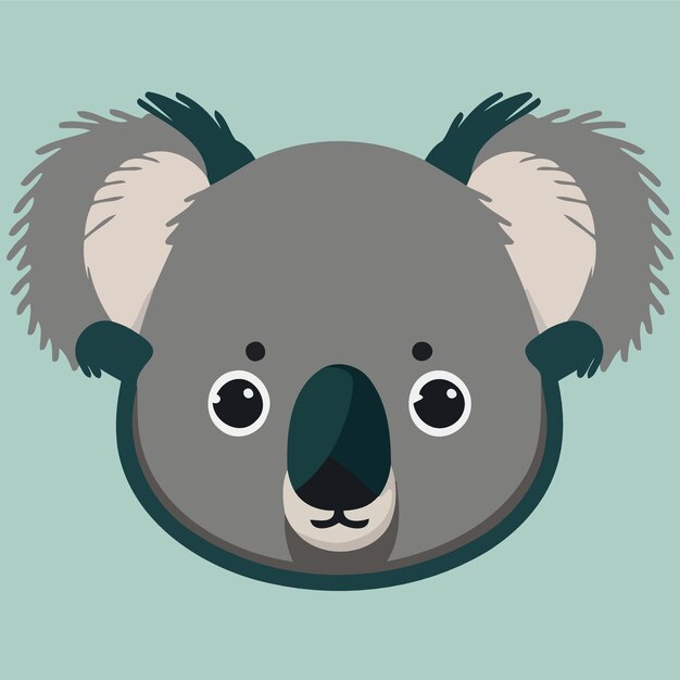 Vector common koala herbivore mammal animal face