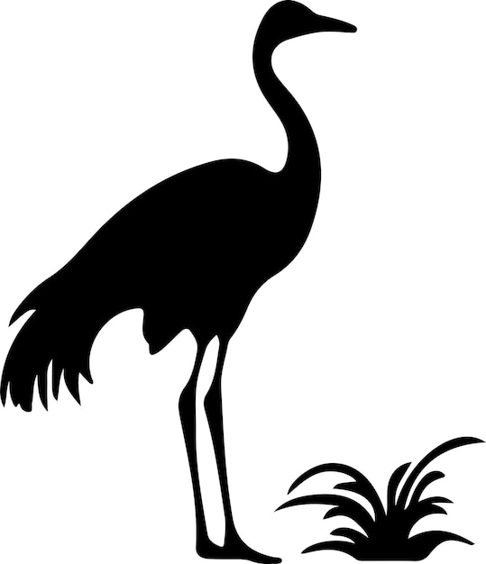 common rhea black silhouette with transparent background