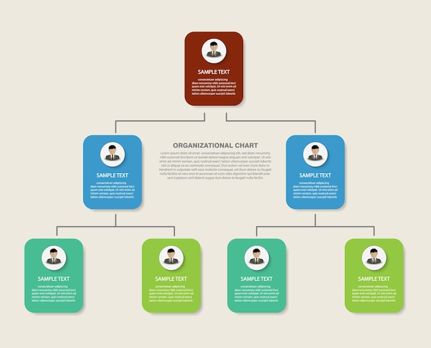 company organizational chart with businessman icons modern infographic vector