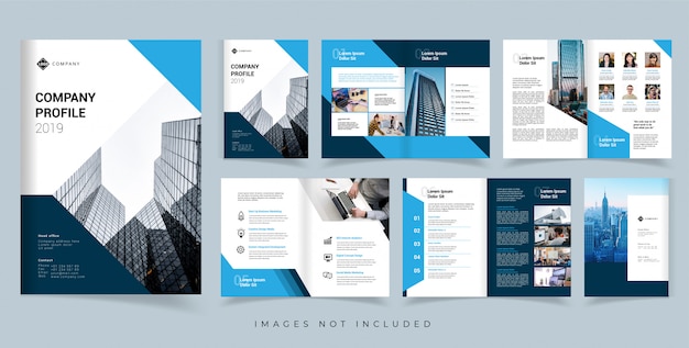 Vector company profile brochure vector design template. annual report vector design template