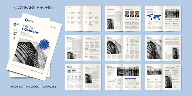 company profile