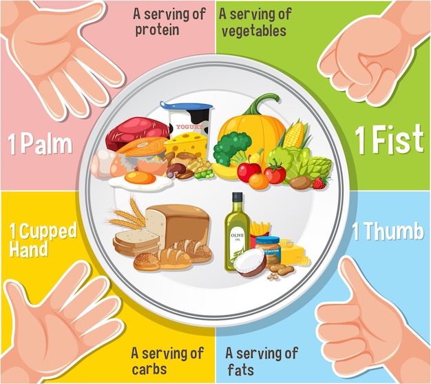 Vector comparing hand portion sizes for healthy eating