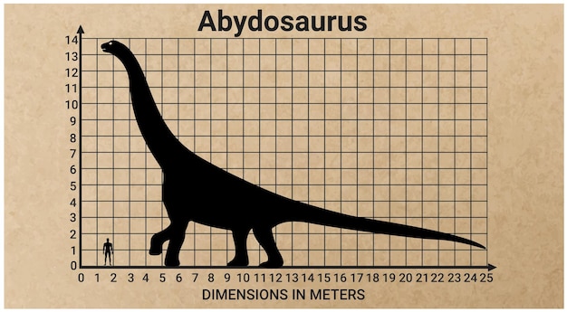 Vector comparing the size of abydosaurus to the average adult human male 18 meters