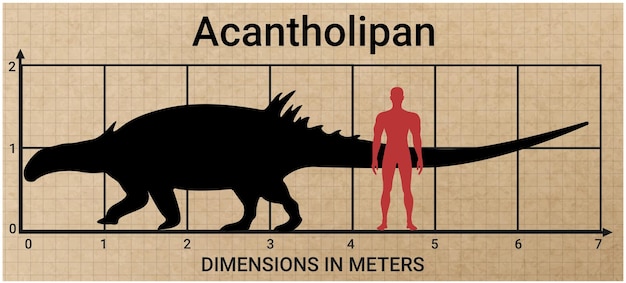 Vector comparing the size of acantholipan to the average adult human male 18 meters