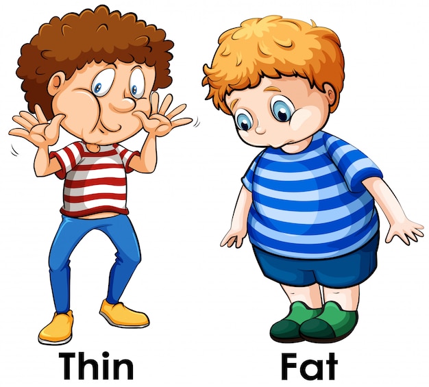 Vector a comparison of boy body