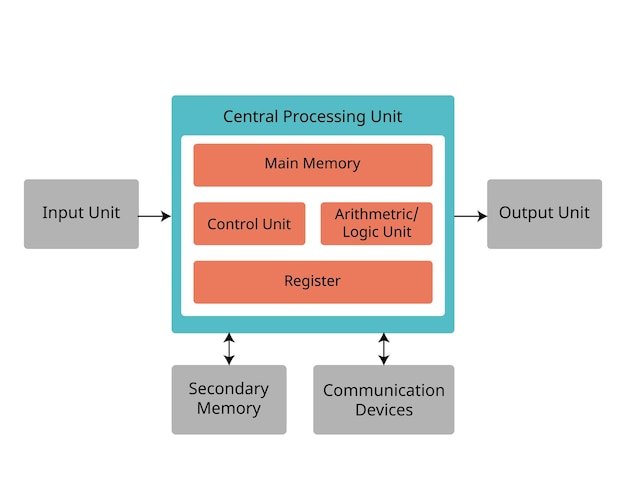 components of hardware consist of central processing unit input and output device