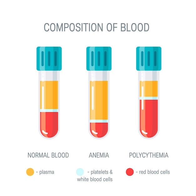 Composizione del concetto di sangue. infografica medica.