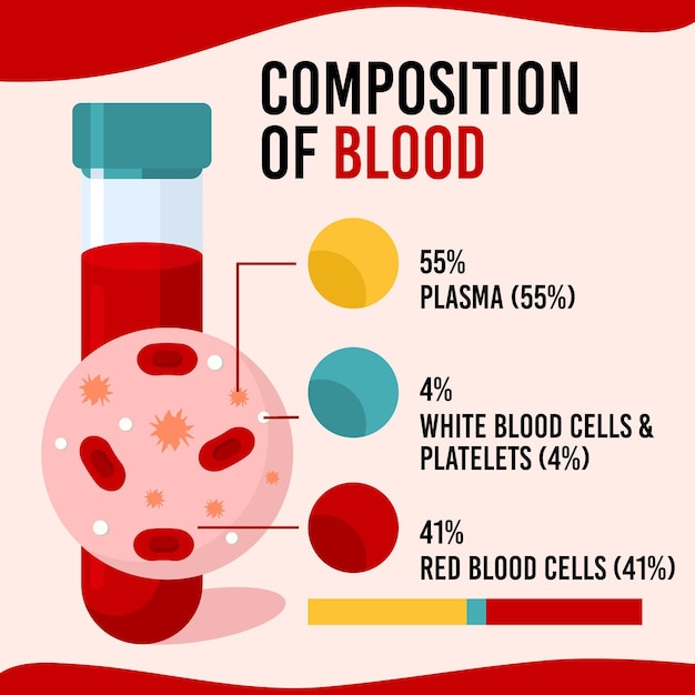 Vettore composizione del sangue con immagine e testo