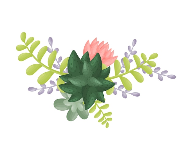 Vettore composizione di rami con foglie, un fiore rosa e un cactus verde scuro al centro vista dall'alto illustrazione vettoriale su sfondo bianco