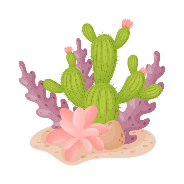 Composition of branchy tall cactus pink flower and purple leaves Vector illustration on a white background