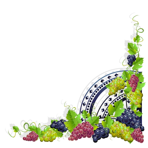 Composition of bunches of grapes