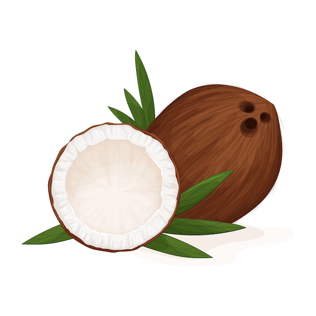 composition of coconuts for summer party