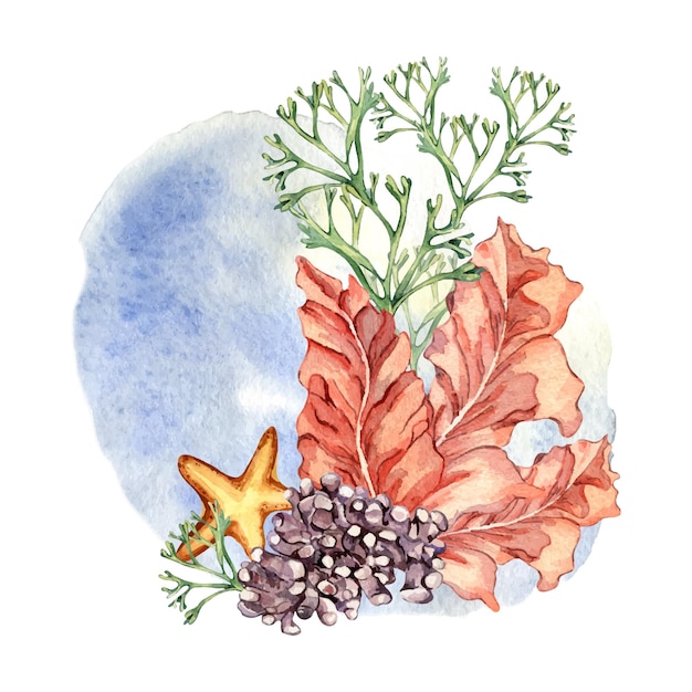 Composition of colorful sea plants watercolor illustration isolated on white