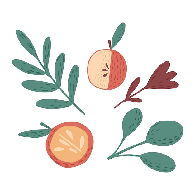 Vector composition from apples , twigs and flower on white background. scandinavian botanical sketch hand drawn in style doodle vector illustration.