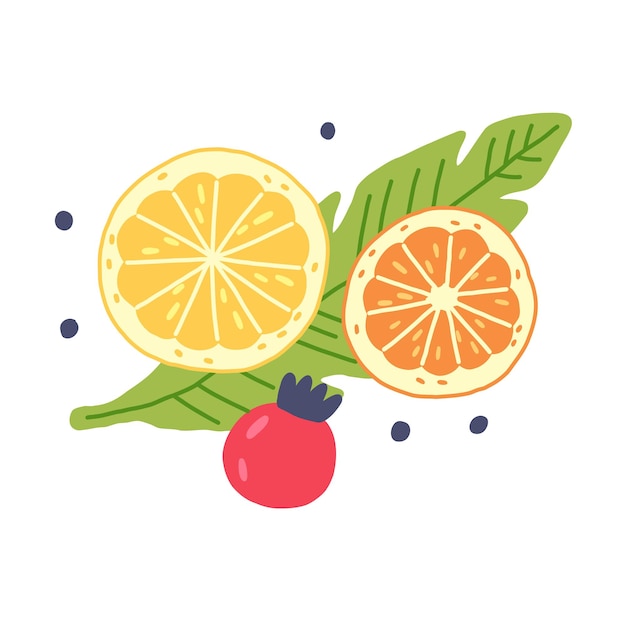 Composition Fruit slices orange lemon hand drawn