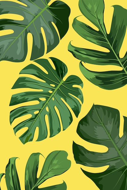 Composition of Monstera Leaves 