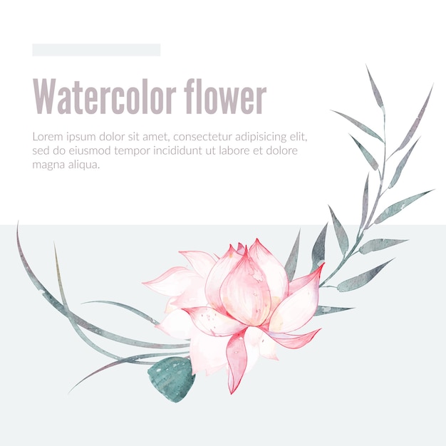 Composition of pink lotus flower watercolor vector illustration