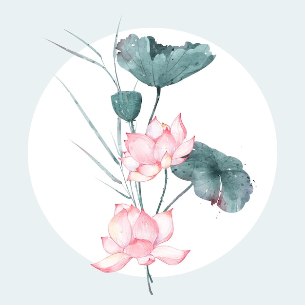 Vector composition of pink lotus flower watercolor vector illustration