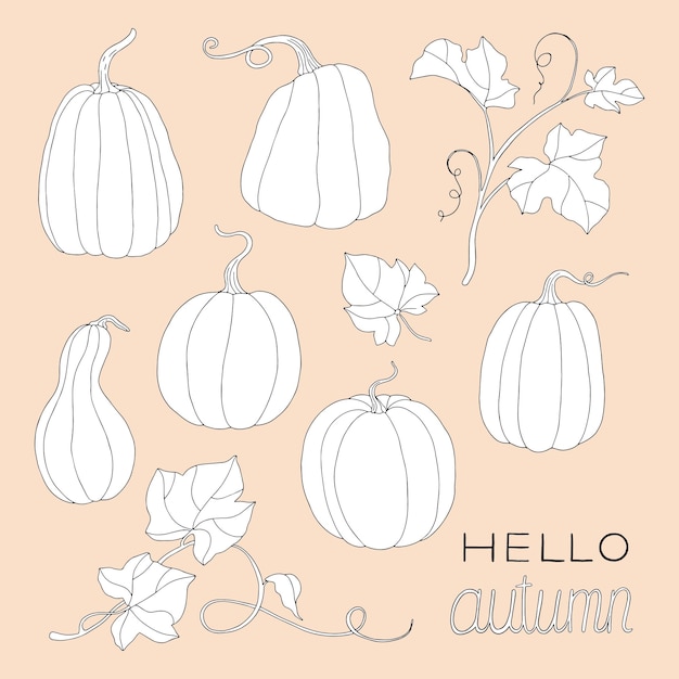 Composition of pumpkin and Hello autumn note.