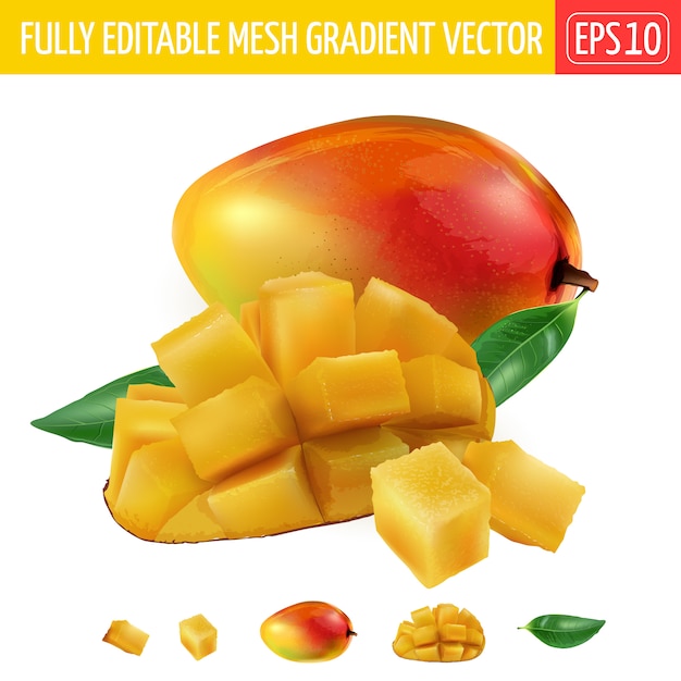 Vector composition of whole and diced mango with green leaves.