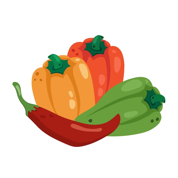 Composition of whole red green and yellow peppers and chilli fresh ripe paprika tasty spicy food healthy organic vegetables vector illustration for healthy lifestyle good nutrition vegetarian