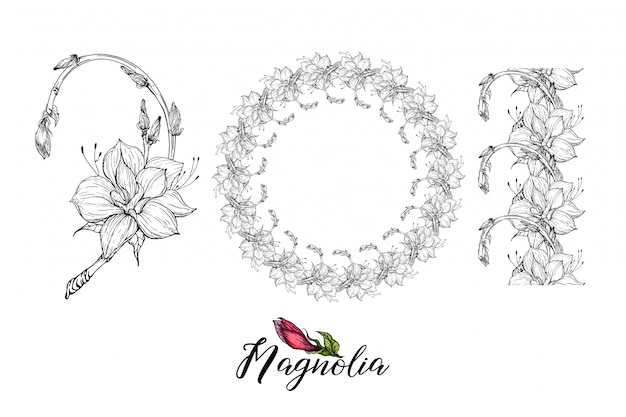 マグノリアの花の組成