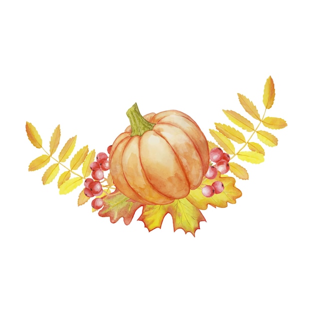 Composition with pumpkin and autumn leaves. isolated autumn illustration.