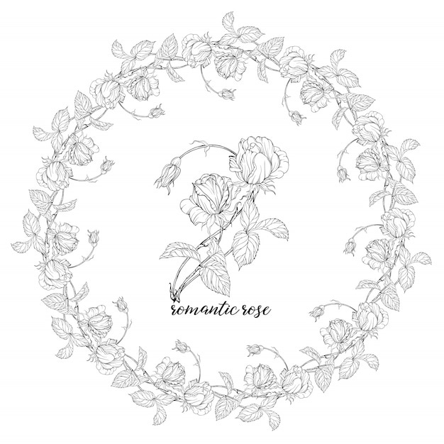 Vector compositions with rose flowers. floral wreath.