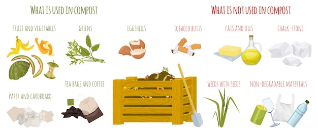 Vector compost composting flat infographic with what is used in compost and what is not descriptions vector illustration