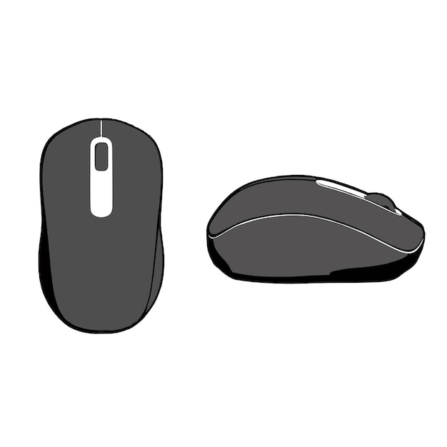 Computer mouse on a white background