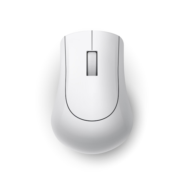 Computer Mouse