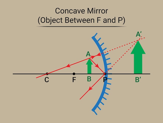 F와 P 사이의 오목 거울 물체
