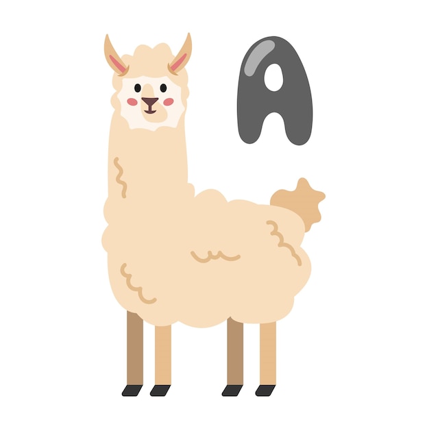 Concept Alphabet A alpaca The illustration is a flat vector cartoon design featuring the letter A
