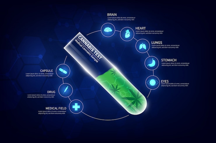 Vector concept of cannabis for medical uses , cannabis sample in sample tube